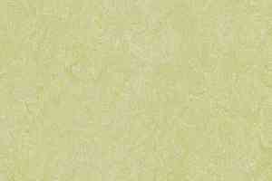 Линолеум Forbo Marmoleum Marbled Real 3881 Green Wellness фото  | FLOORDEALER